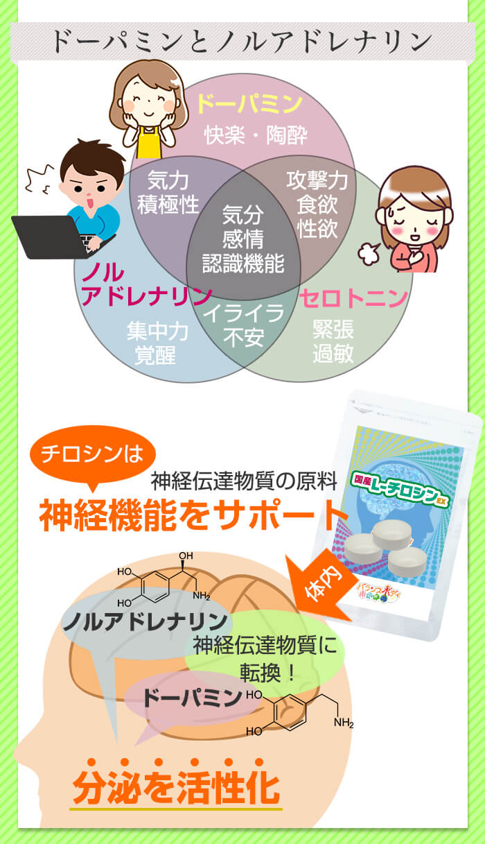 定期お届け便】国産L-チロシンEX 350mg×90粒（1ヶ月分） サプリ サプリメント
